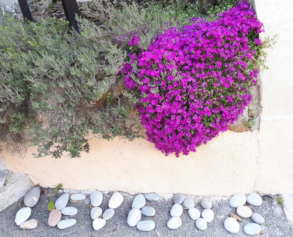 Lou Mas Dau Paigran Bed and Breakfast Saint-Blaise  Εξωτερικό φωτογραφία