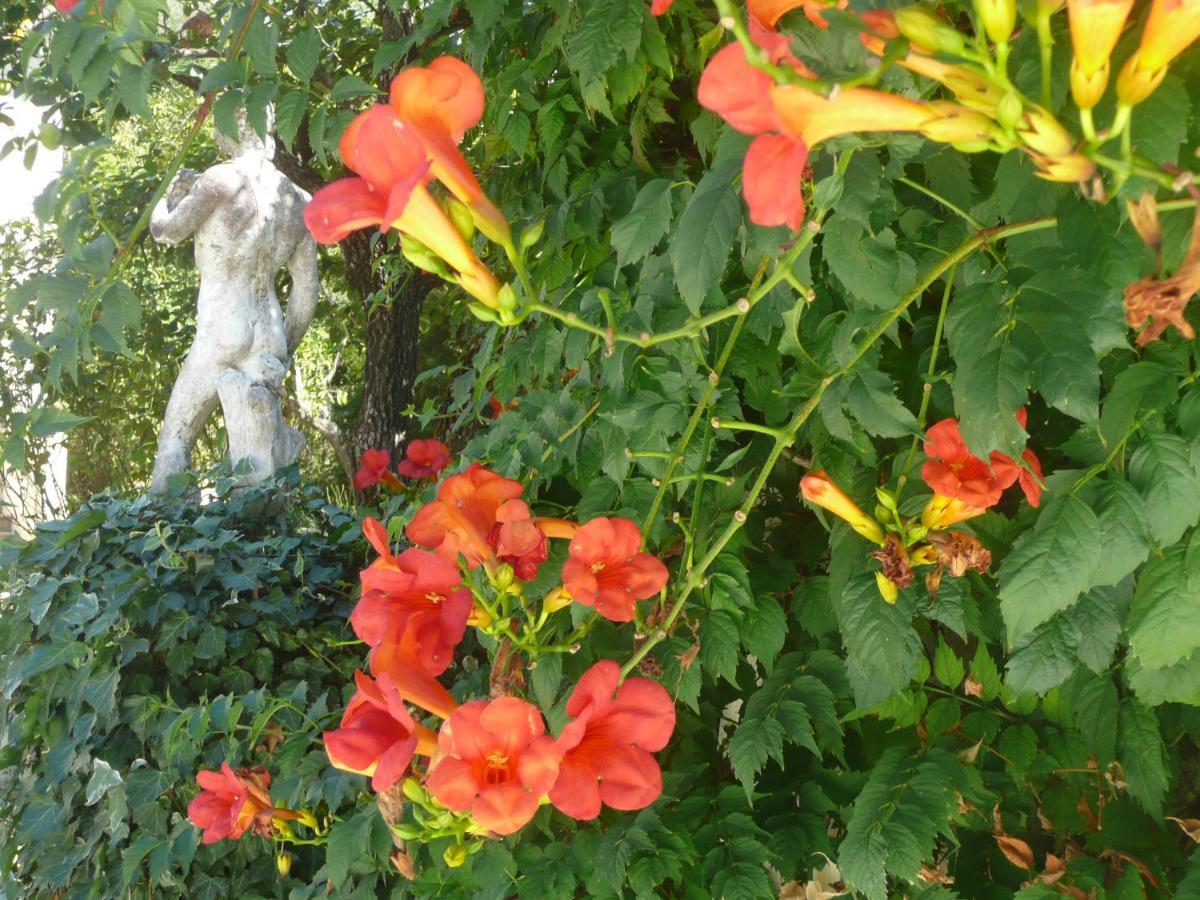 Lou Mas Dau Paigran Bed and Breakfast Saint-Blaise  Εξωτερικό φωτογραφία