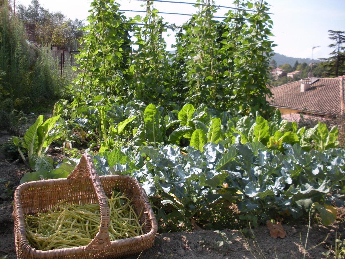 Lou Mas Dau Paigran Bed and Breakfast Saint-Blaise  Εξωτερικό φωτογραφία