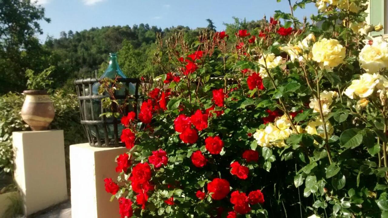 Lou Mas Dau Paigran Bed and Breakfast Saint-Blaise  Εξωτερικό φωτογραφία