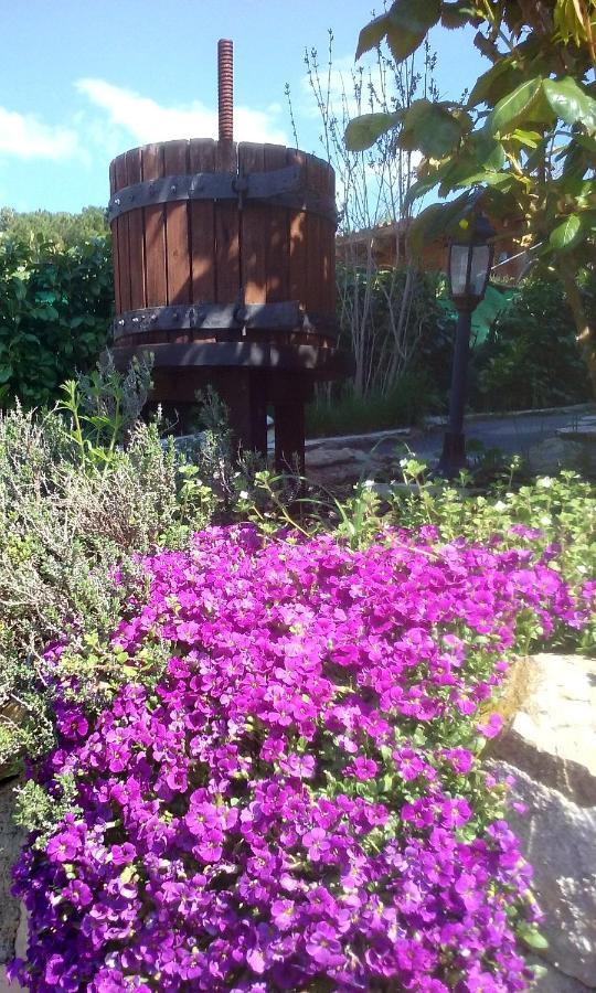 Lou Mas Dau Paigran Bed and Breakfast Saint-Blaise  Εξωτερικό φωτογραφία