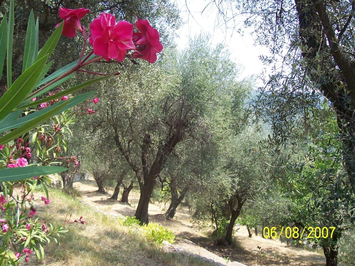 Lou Mas Dau Paigran Bed and Breakfast Saint-Blaise  Εξωτερικό φωτογραφία