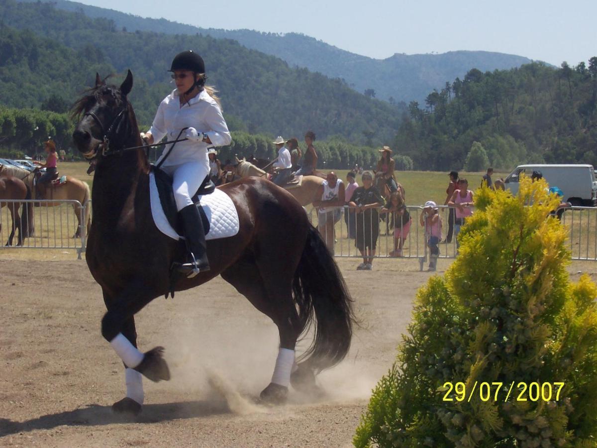 Lou Mas Dau Paigran Bed and Breakfast Saint-Blaise  Εξωτερικό φωτογραφία